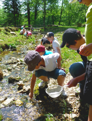 Ballade d’introduction au millieu montagnard