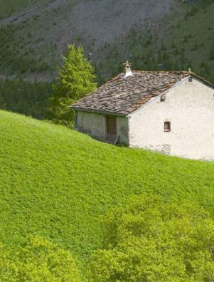 Visite d’une ferme locale