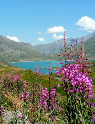 Lac du Mont Cenis