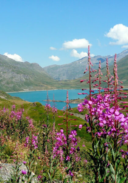 Lac du Mont Cenis